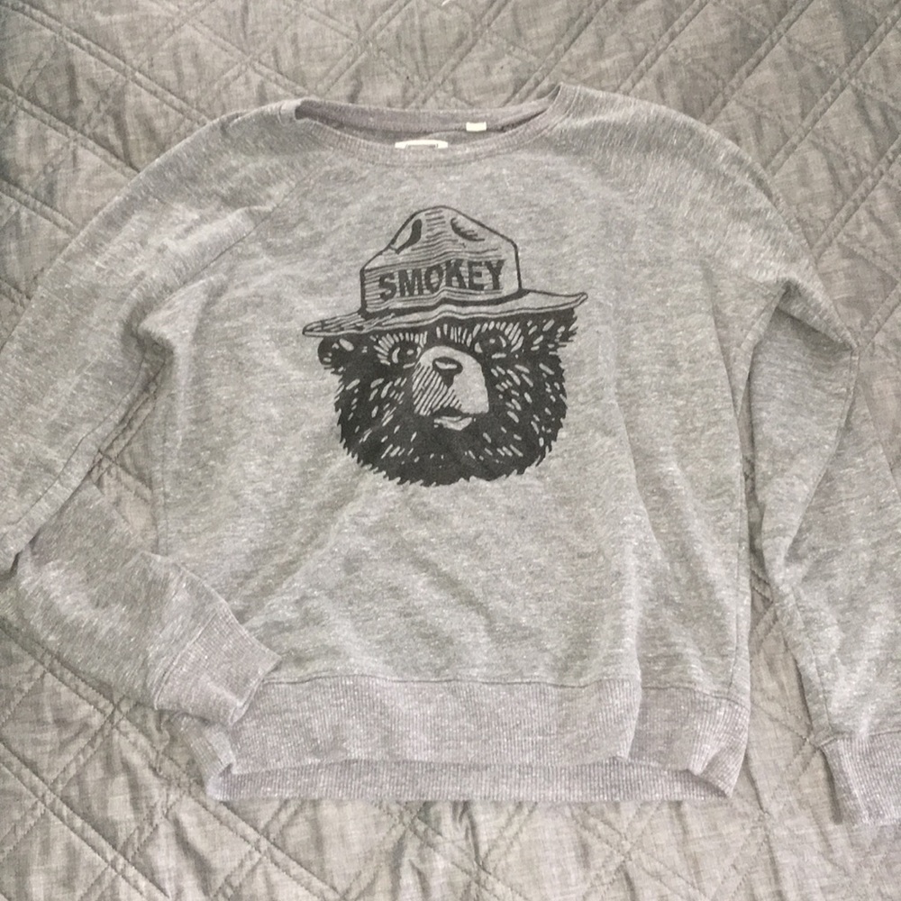 american eagle tailgate sweatshirt pullover